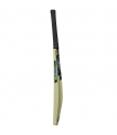 AION CRICKET BAT