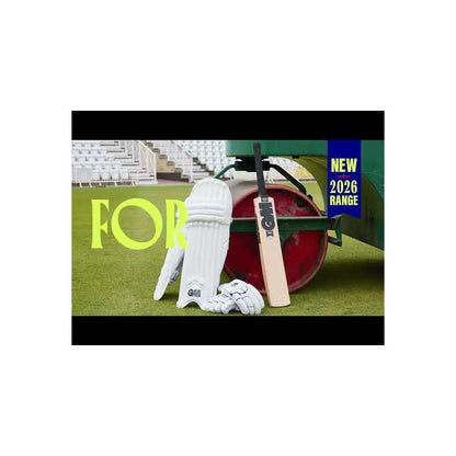 GM Noir Cricket Bat