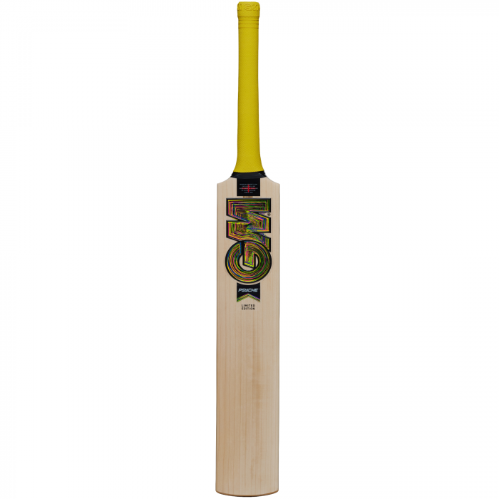 GM PSYCHE Cricket Bat