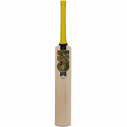 GM PSYCHE Cricket Bat