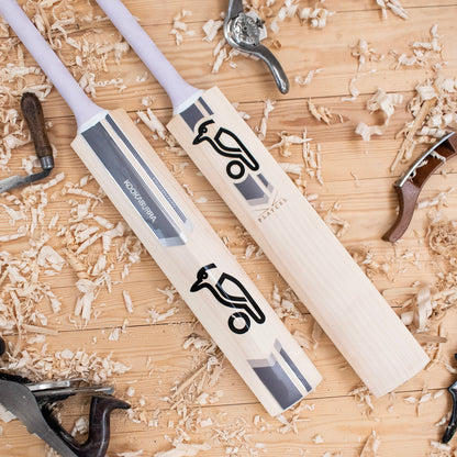 PLAYERS EDITION CRICKET BAT SH