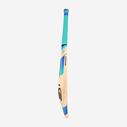 RAPID PRO CRICKET BAT SH