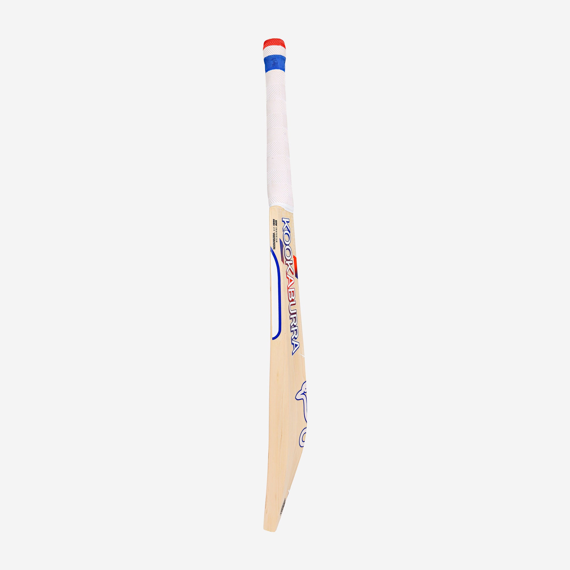 RAPID PRO 2.1 ELITE CRICKET BAT