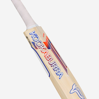 RAPID 4.1 HERO CRICKET BAT