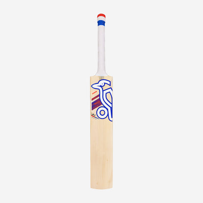 RAPID 6.1 SPECIAL CRICKET BAT