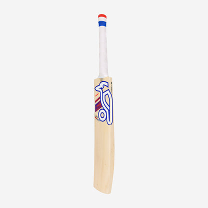 RAPID 6.1 SPECIAL CRICKET BAT