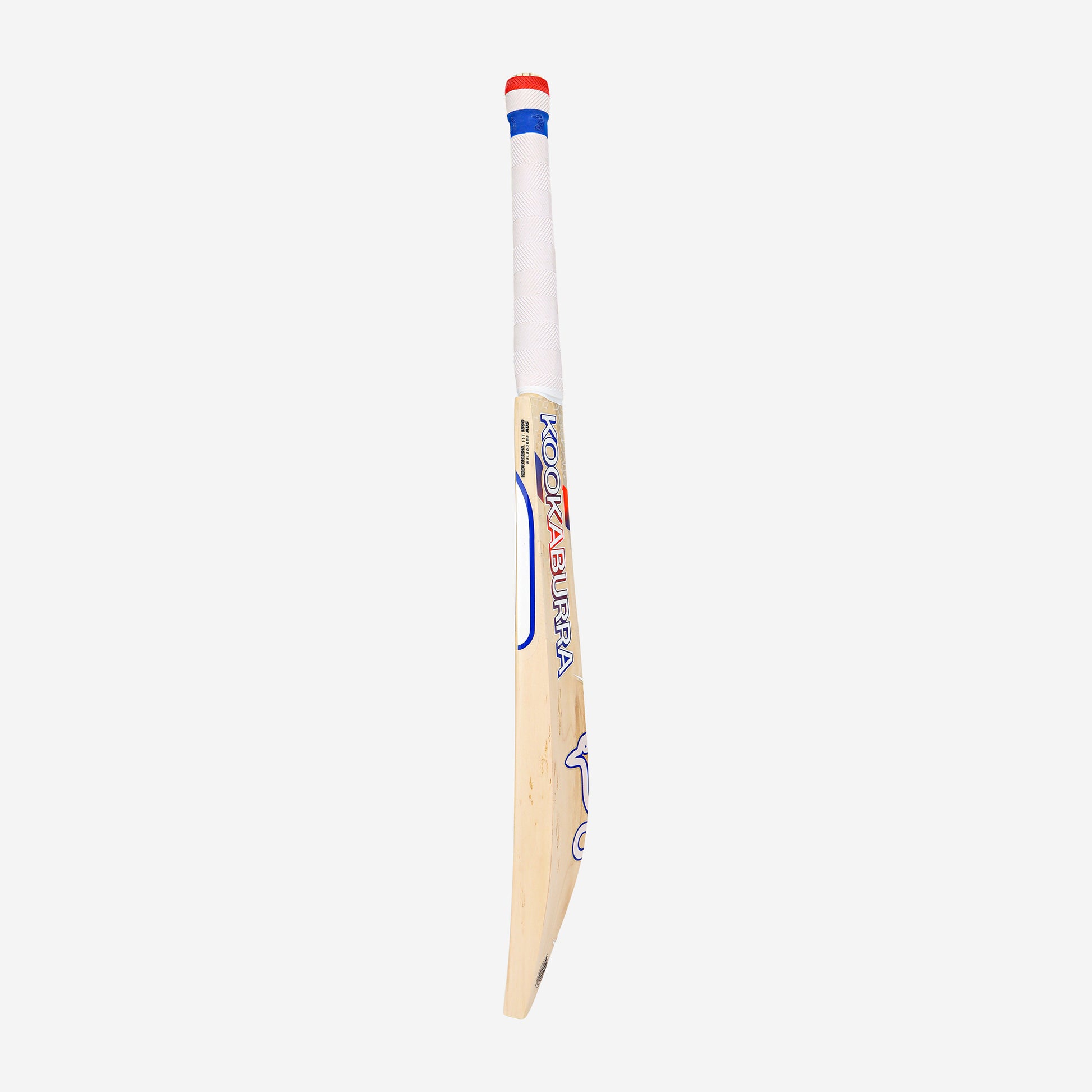 RAPID 6.1 SPECIAL CRICKET BAT