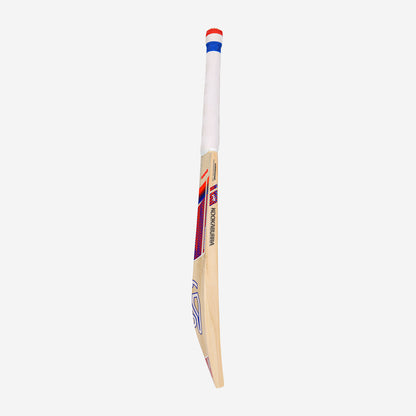 RAPID 6.1 SPECIAL CRICKET BAT