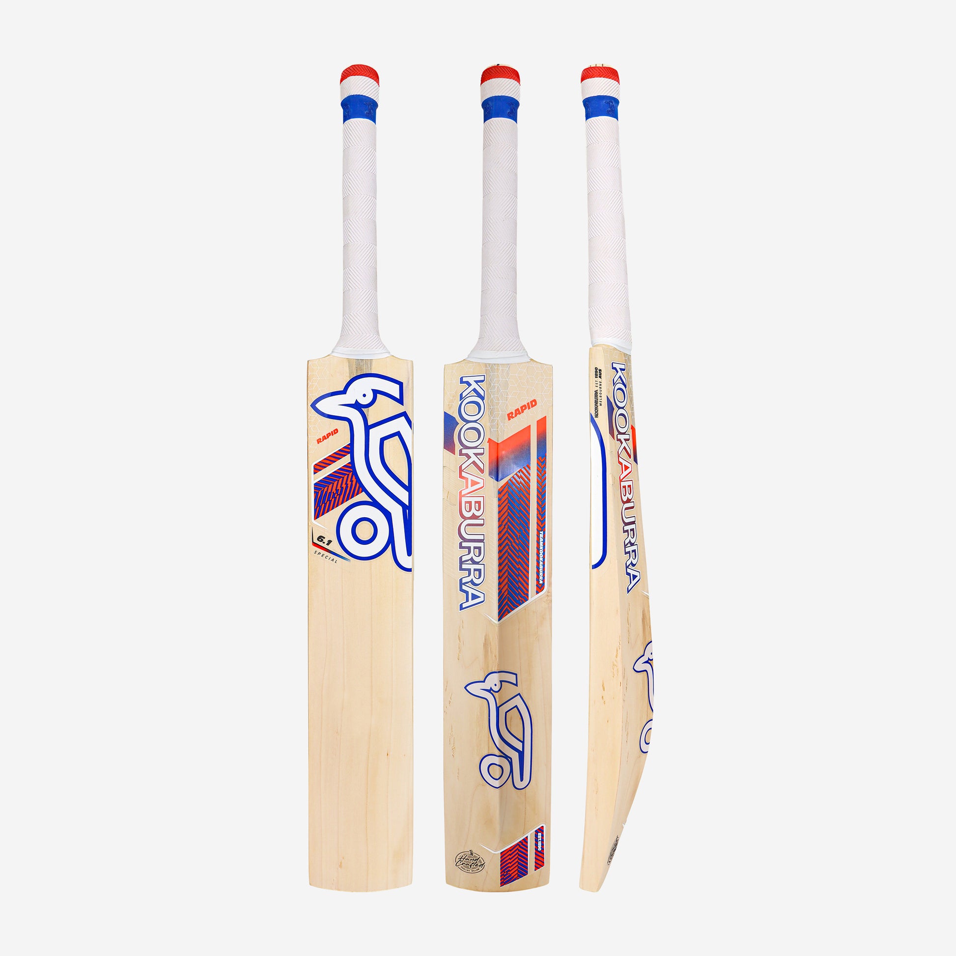 RAPID 6.1 SPECIAL CRICKET BAT