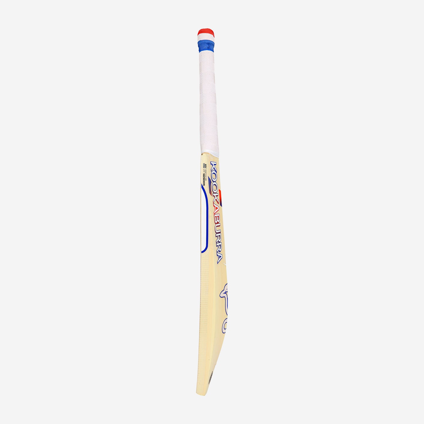 RAPID 6.5 FORCE CRICKET BAT