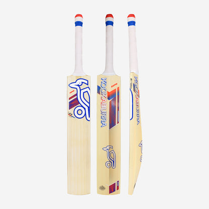 RAPID 6.5 FORCE JUNIOR CRICKET BAT