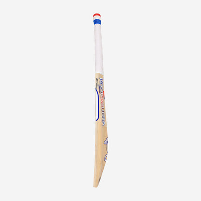 RAPID ULTRALITE CRICKET BAT