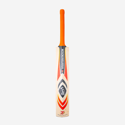 DIABLO FURY CRICKET BAT