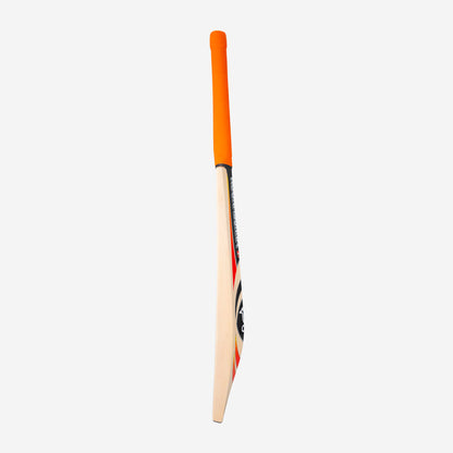 DIABLO FURY CRICKET BAT