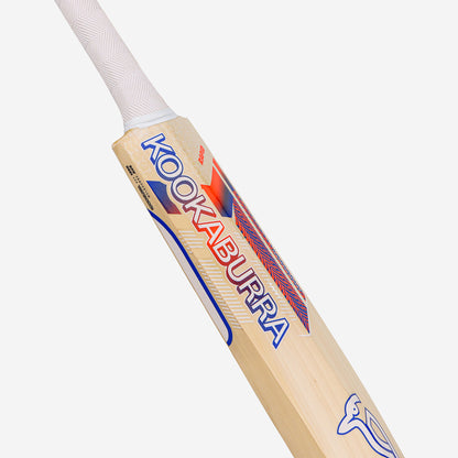 RAPID 8.1 JUNIOR CRICKET BAT