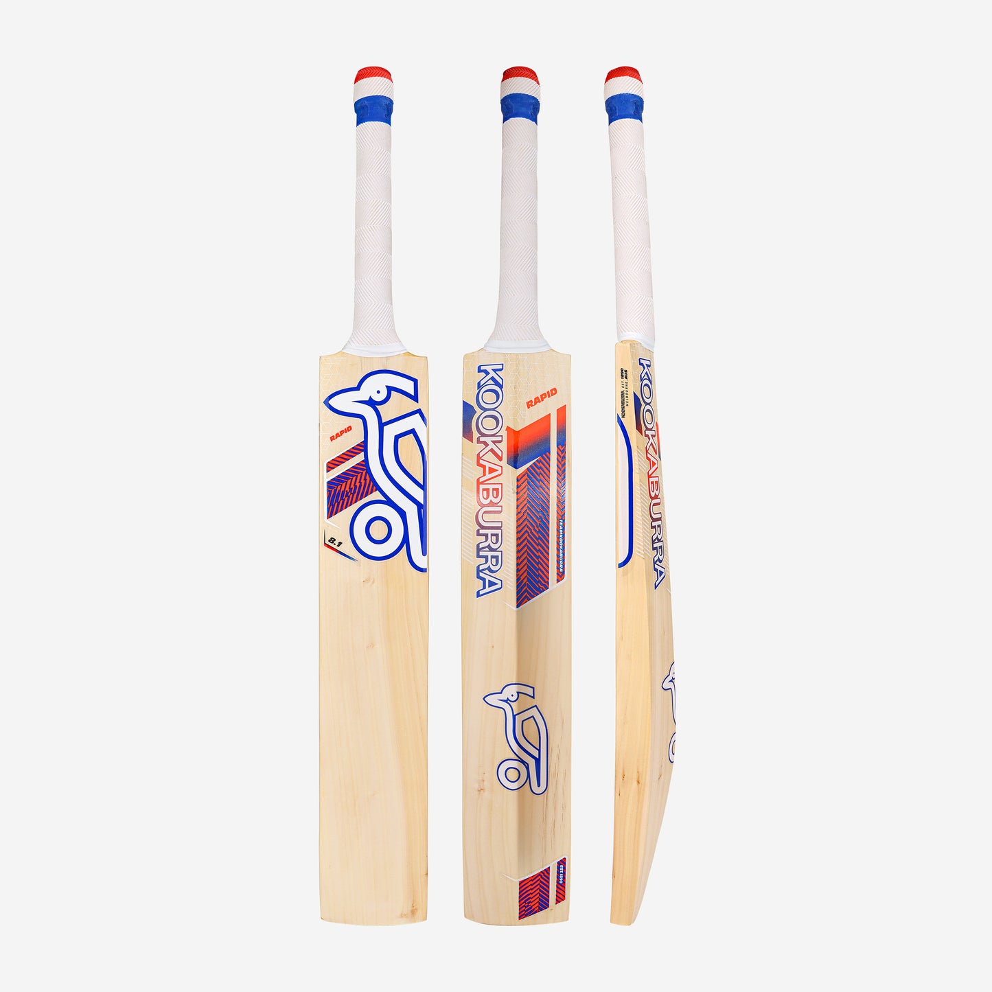 RAPID 8.1 JUNIOR CRICKET BAT