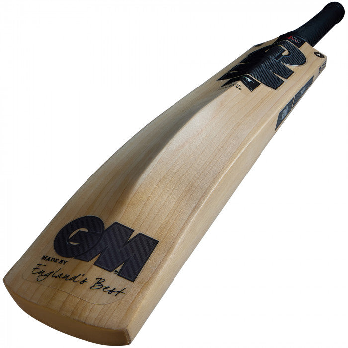 GM Noir Cricket Bat