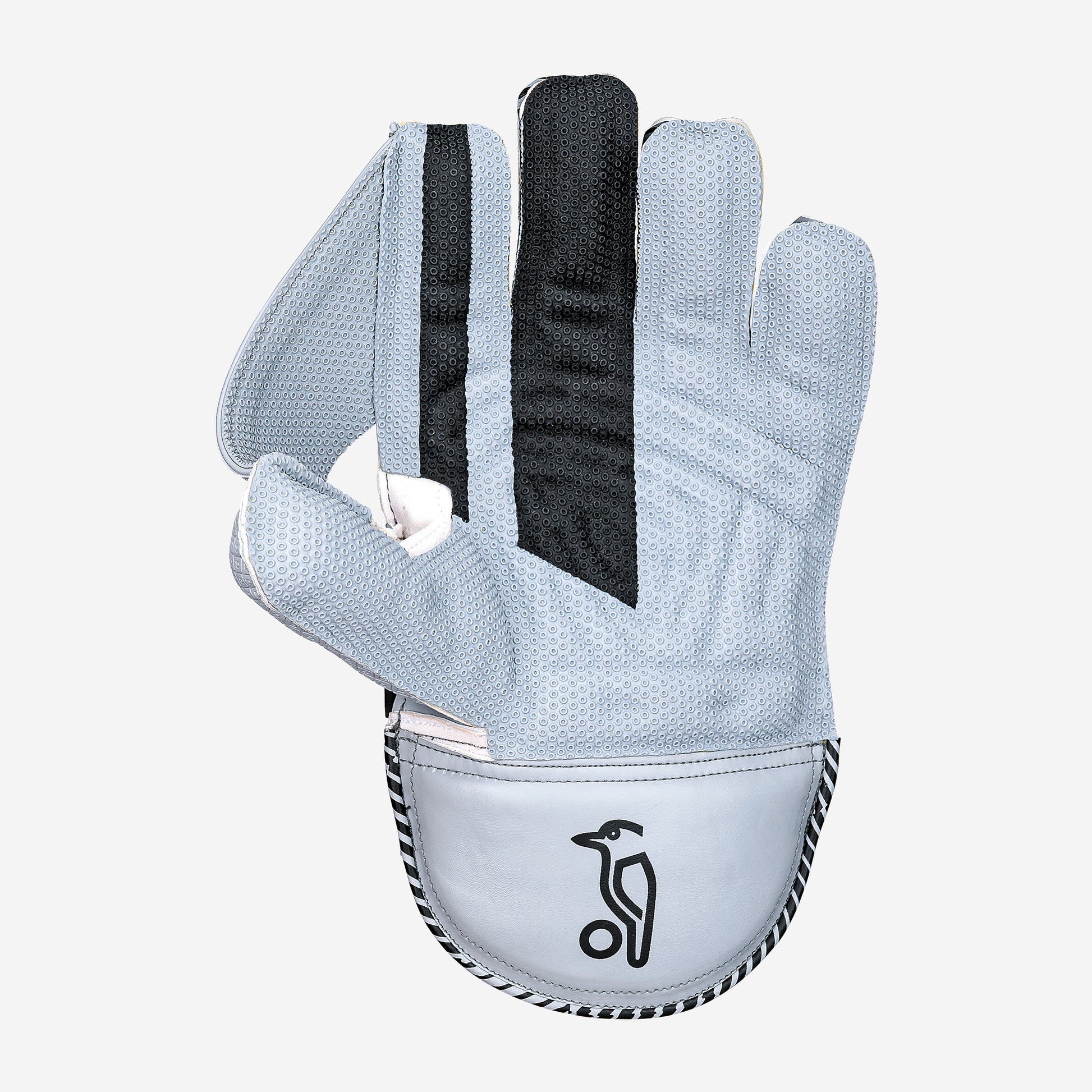 SC 2.1 WICKET KEEPING GLOVES