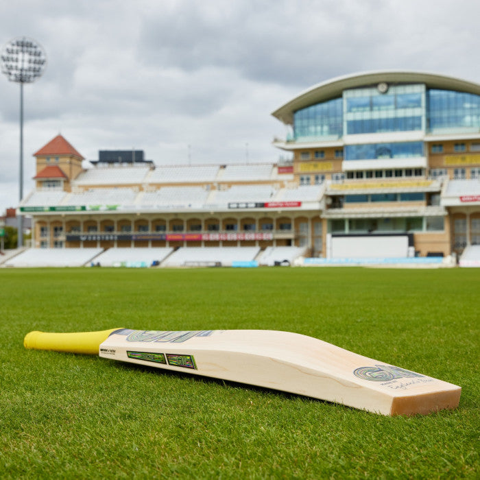 GM PSYCHE Cricket Bat