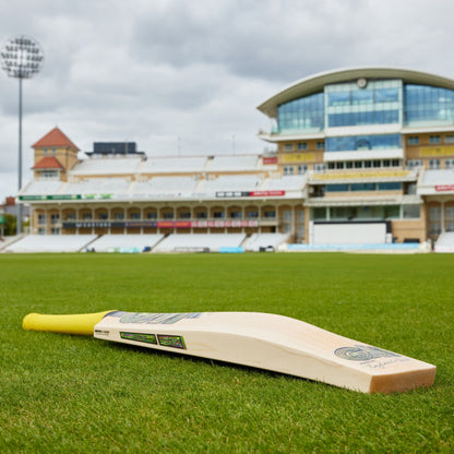 GM PSYCHE Cricket Bat