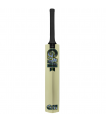 AION CRICKET BAT