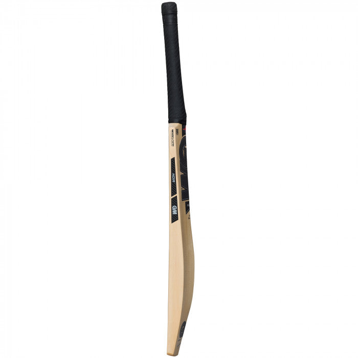 GM Noir Cricket Bat