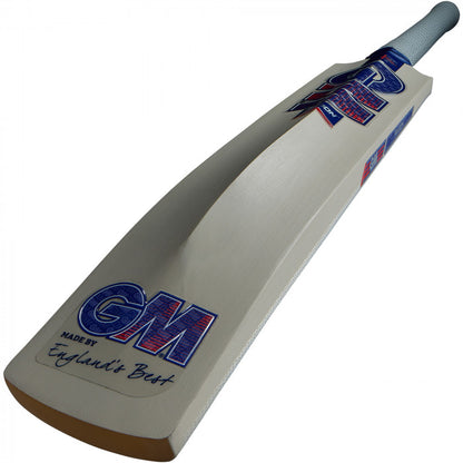 GM Radon Cricket Bat