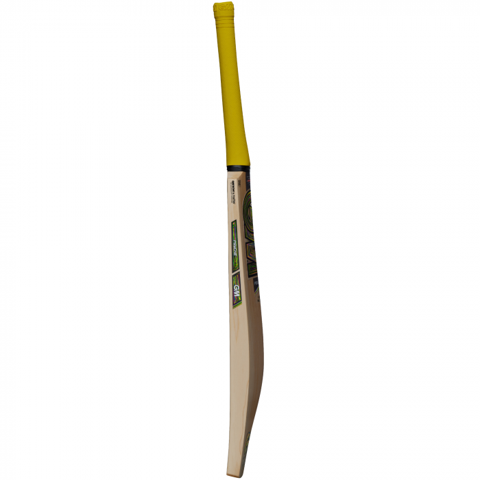 GM PSYCHE Cricket Bat