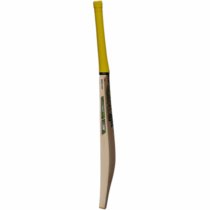 GM PSYCHE Cricket Bat