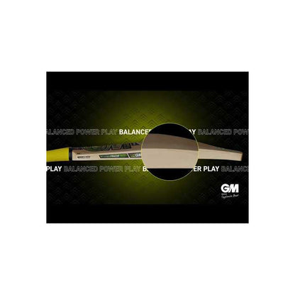 GM PSYCHE Cricket Bat