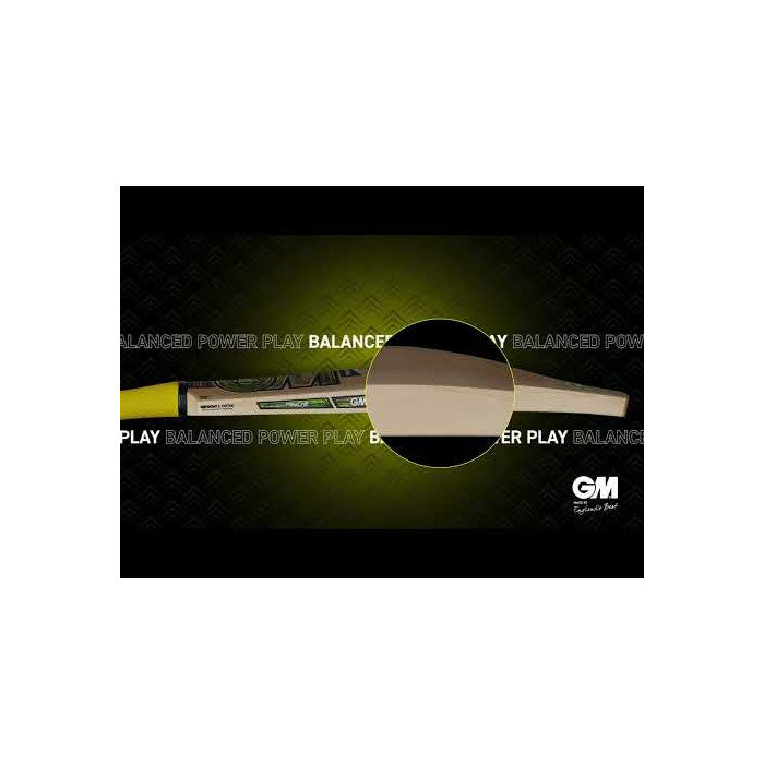 GM PSYCHE Cricket Bat
