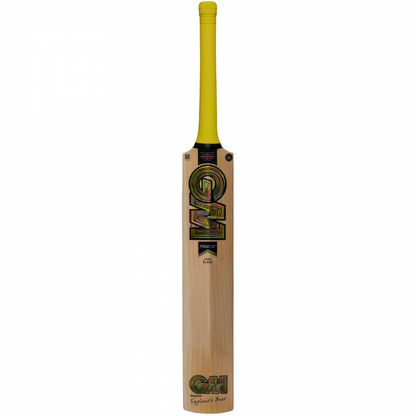 GM PSYCHE Cricket Bat