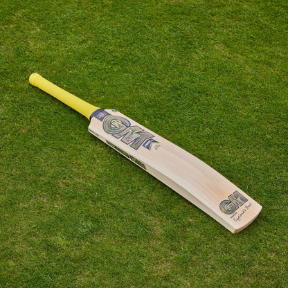 GM PSYCHE Cricket Bat