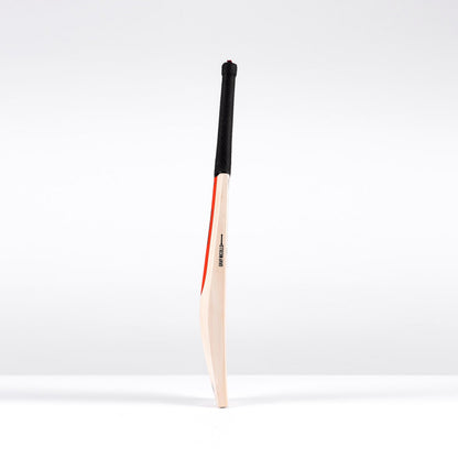 Legend Platinum Edition Cricket Bat