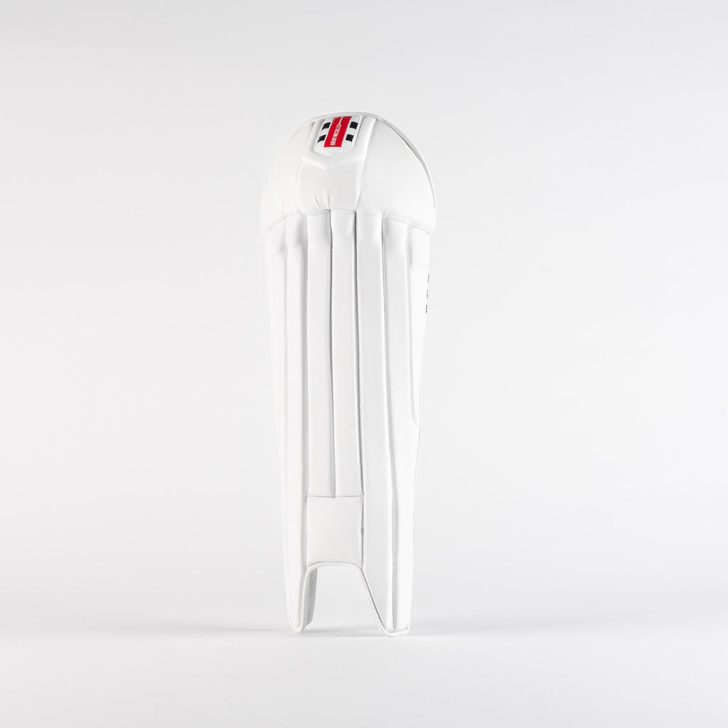 Pro Wicketkeeping Pads