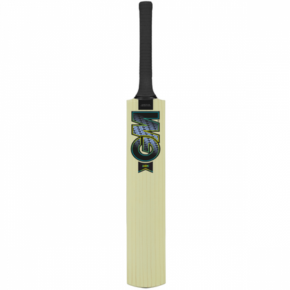 AION CRICKET BAT