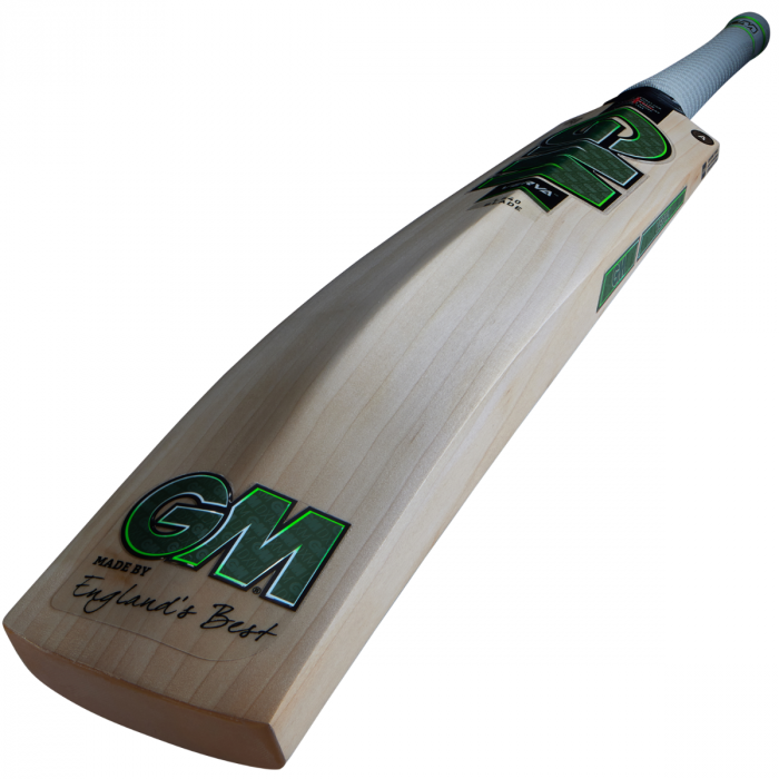 GM VERVA Cricket Bat